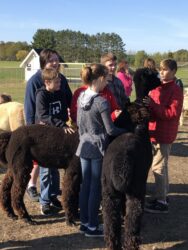 Bean and Zula Making Friends