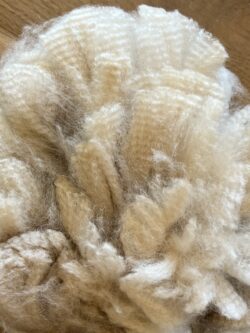 Chase 2022 Fiber Sample Chase 2022 Fiber Sample