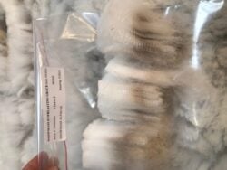 EverlastingGraceFiber