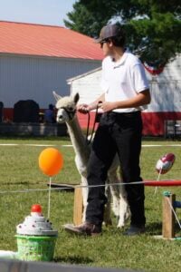 Hunter and Chase at the 2024 4-H Fair