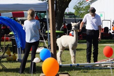 Hunter and Chase at the 2024 4-H Fair