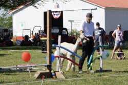 Hunter and Chase at the 2024 4-H Fair