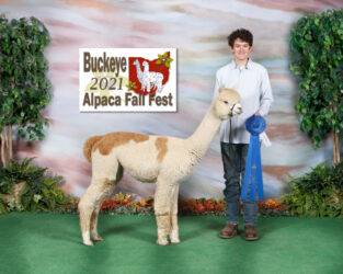Hunter and Sherry Ann at 2021 Buckeye Alpaca Fall Fest