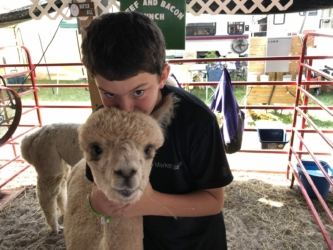 Hunter Loving on Adel in the Alpaca Llama Barn