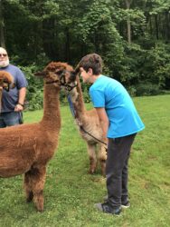 Hunter Making Friends With Avalon