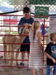 Hunter and Adel Stealing the Alpaca Barn With the Kids