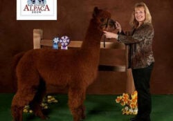 Kalista Rail Spitters Show