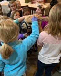 Learning About Alpacas With Adel