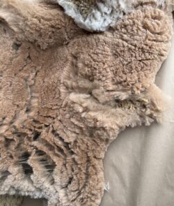 Lilly Grace Fiber Blanket 2022 Lilly Grace Fiber Blanket 2022