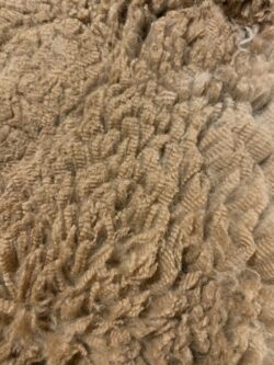 Lilly Grace Blanket Lilly Grace Blanket