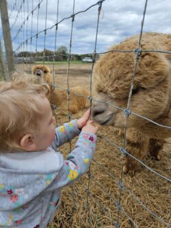 Lilly Grace and Little Girl Lilly Grace and Little Girl