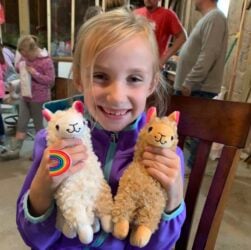 Natalie Holding Stuffed Alpaca Toys