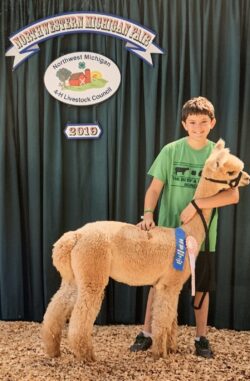 Northwestern Michigan Fair Adel