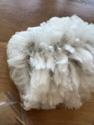 Sherry Ann 2022 Fiber Sample Sherry Ann 2022 Fiber Sample
