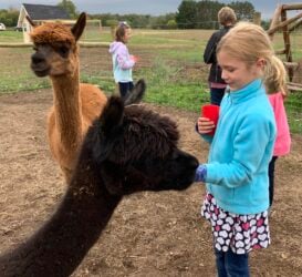 Stormy Loving Her Treats
