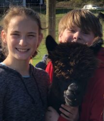 Alpaca Zula and Her New Friends