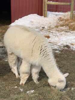 Ariana Enjoying Some Warmth