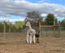Ariana and Teddy Outside