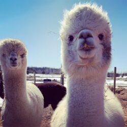 Faith and Ariana on a Sunny Spring Day