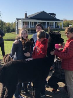 Koko Bean and Zula Getting Loved