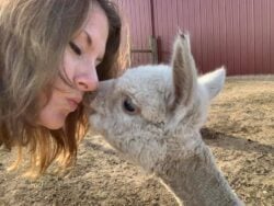 Levi Kisses