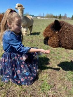 Petite Eating Snacks