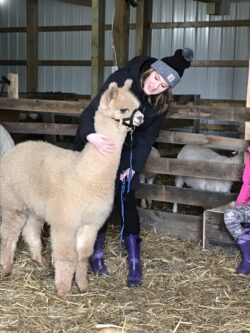 Rebecca and Adela Going for an Alpaca Walkabout