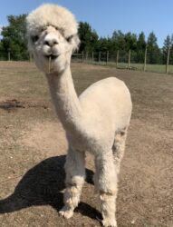 Snack Time for Faith