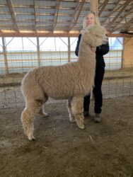 Snowmass Coalition Conformation View scaled