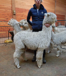 SnowmassCoalition SideView