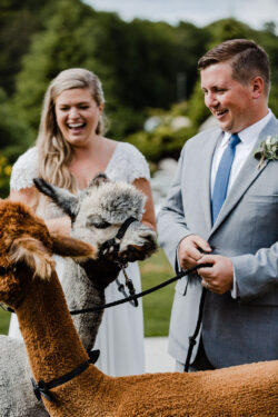 Adam and Katie with the Big Boy Alpacas