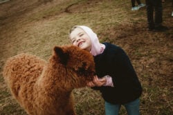 Alpaca Love With Nellie