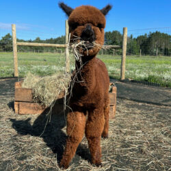 Patrick in August of 2022