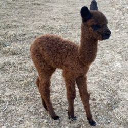 Patrick in April of 2022