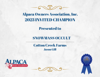 Occult 2023 Invited Champion Occult 2023 Invited Champion