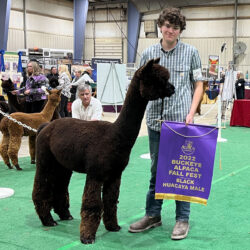 Snowmass Occult at Buckeye Show in 2022 Snowmass Occult at Buckeye Show in 2022