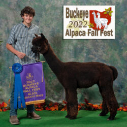 Snowmass Occult at Buckeye Show in 2022 Snowmass Occult at Buckeye Show in 2022