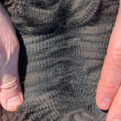 Snowmass Occult Crimp 2023 Snowmass Occult Crimp 2023