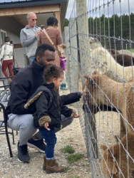 Feeding Treats to the Alpacas