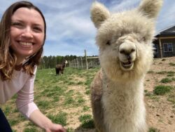 Molly Alpaca Making Friends on a Tour
