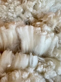 Snowmass Moonlight Lover Fleece May 2023 Snowmass Moonlight Lover Fleece May 2023