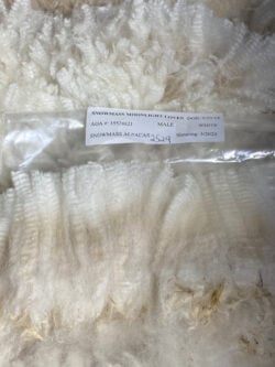 Snowmass Moonlight Lover fleece May 2020 Snowmass Moonlight Lover fleece May 2020