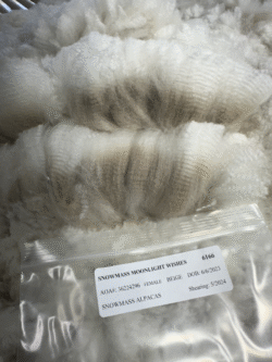 Snowmass Moonlight Wishes Snowmass Moonlight Wishes