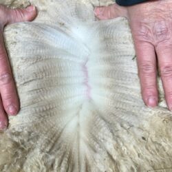 Snowmass Samurai Inspiration fleece at Six Months Snowmass Samurai Inspiration fleece at Six Months