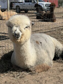 Jessica Just Chillin