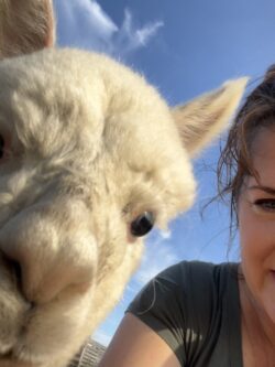 Financy Financy Eyes