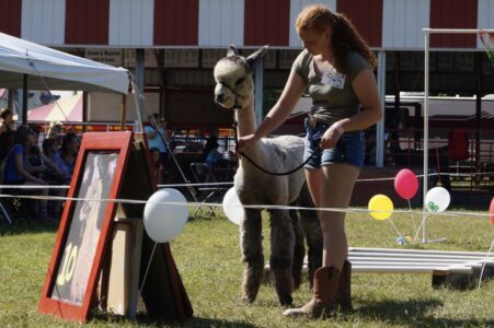 Halle and Jessica at the 4-H Fair