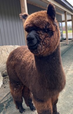 Kaitlin April of 2024