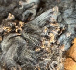 Kaitlin Fiber Sample May 2024