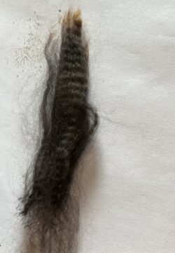 Kaitlin Fiber Sample 2024